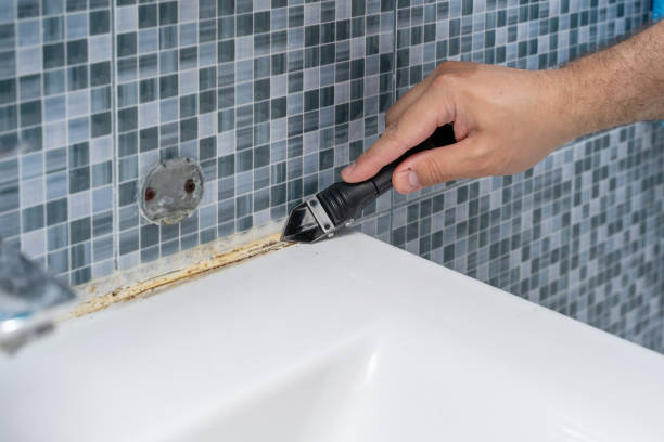  Tawas City, MI Mold Removal Pros