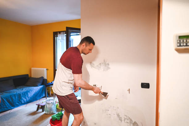 Best Local Mold Removal Service  in Tawas City, MI